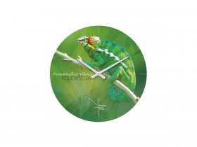 Часы настенные Nicole Time NT503 в Оби - ob.mebel-nsk.ru | фото